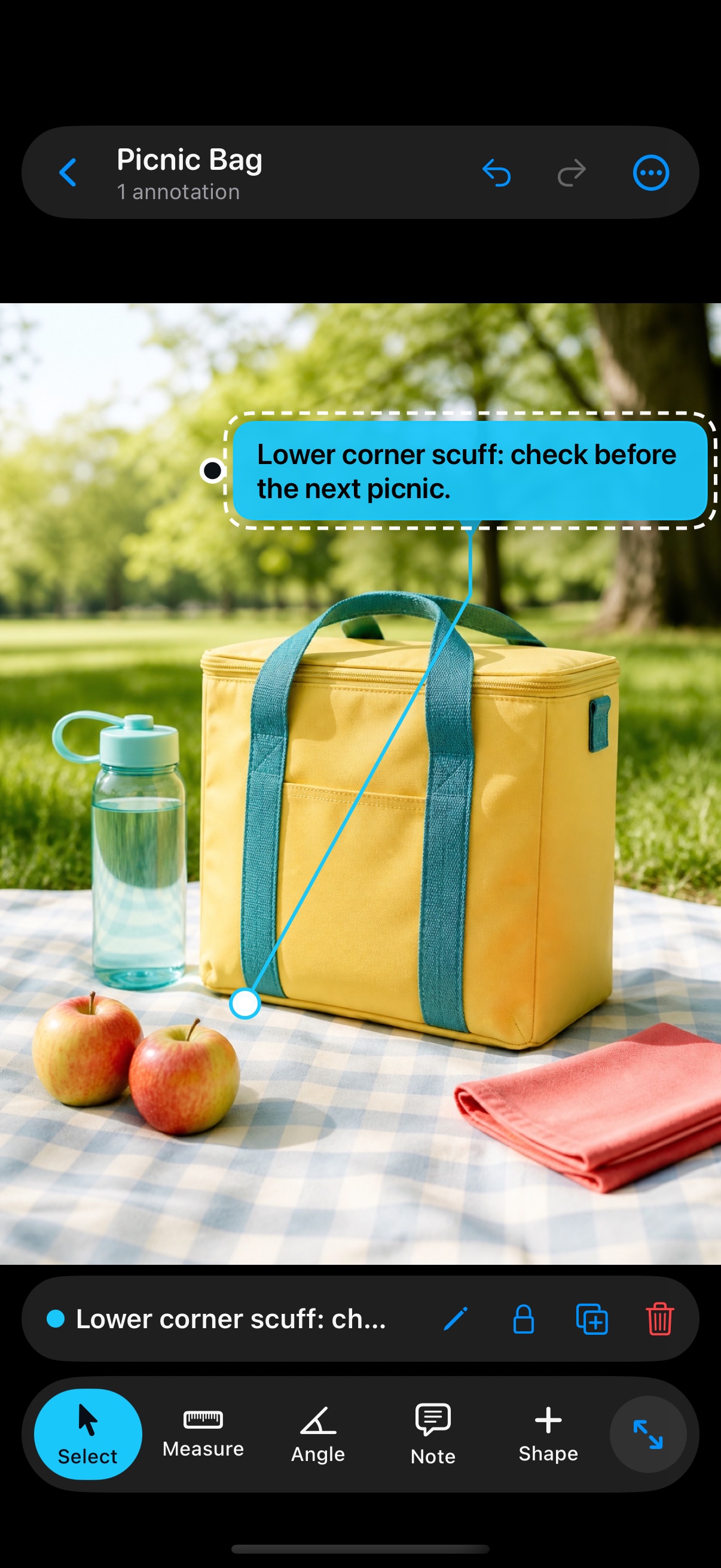 A callout note pointing to a bright picnic bag in a sunny park