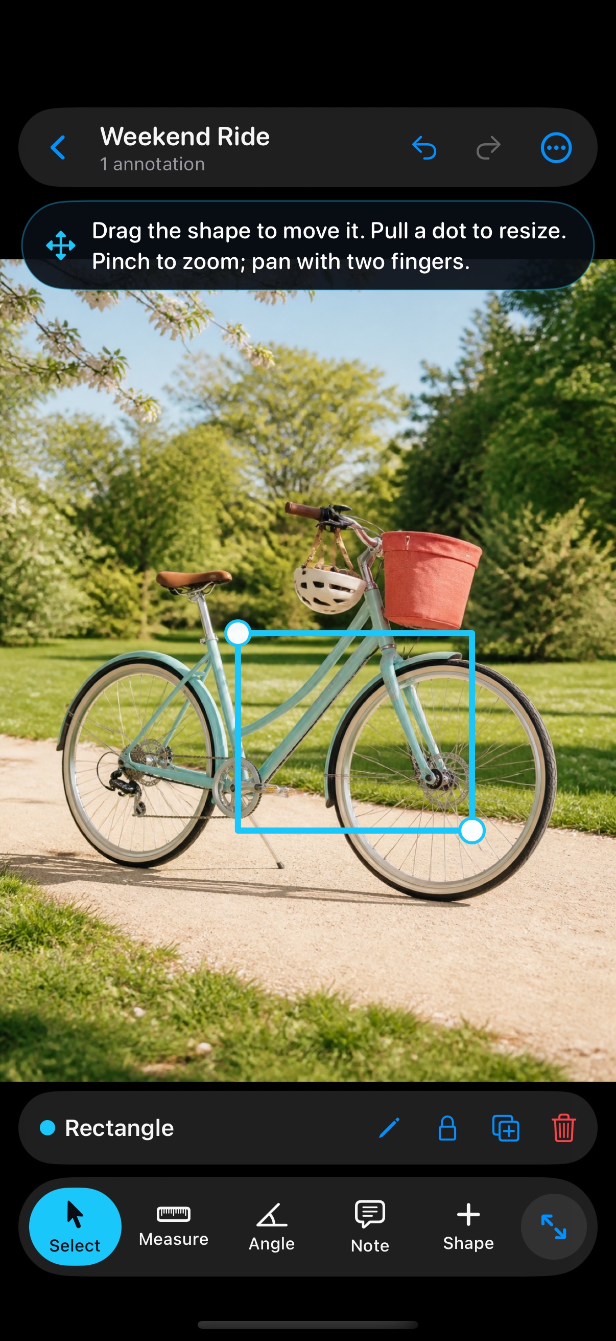 A cyan rectangle being resized around a bicycle basket in a sunny park